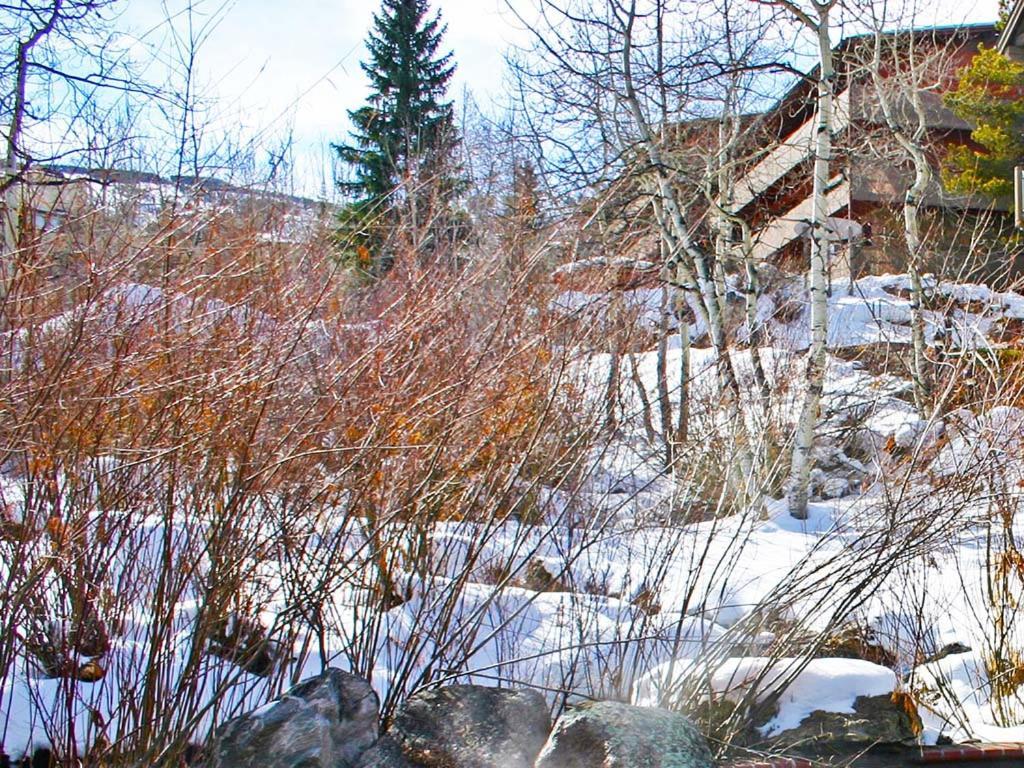 Terracehouse By Snowmass Vacations Leilighet Snowmass Village Eksteriør bilde
